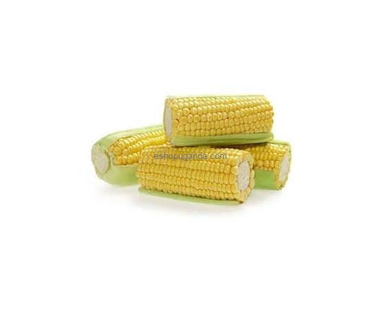 Fresh Corn (1kg)